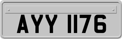 AYY1176