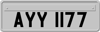 AYY1177