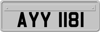 AYY1181