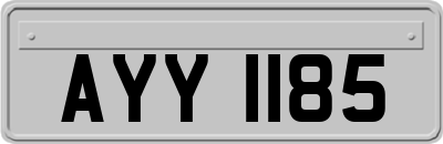 AYY1185