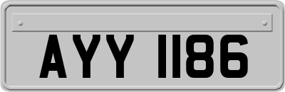 AYY1186
