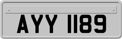 AYY1189