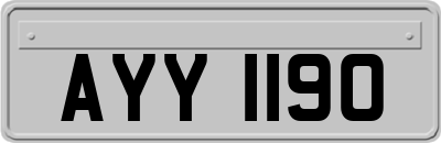 AYY1190