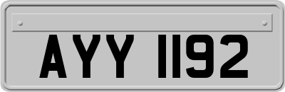AYY1192