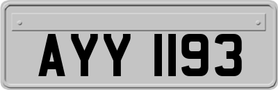 AYY1193
