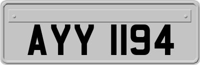 AYY1194