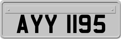 AYY1195