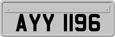 AYY1196