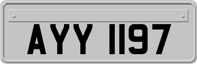 AYY1197