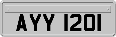 AYY1201