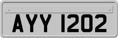AYY1202