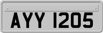 AYY1205
