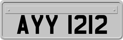 AYY1212