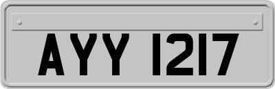 AYY1217