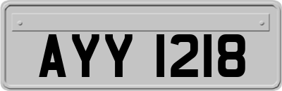 AYY1218