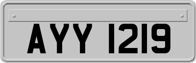 AYY1219
