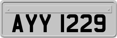 AYY1229