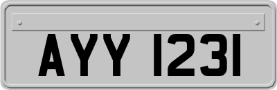 AYY1231