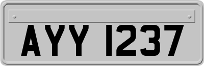 AYY1237