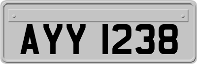 AYY1238