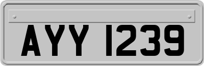 AYY1239