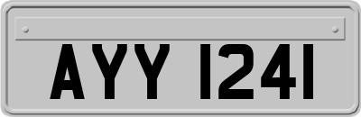 AYY1241