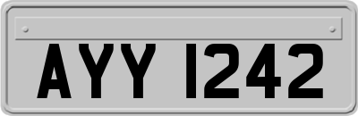 AYY1242