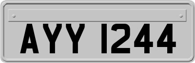 AYY1244