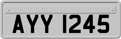 AYY1245