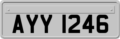 AYY1246