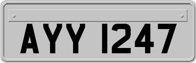 AYY1247