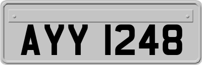 AYY1248