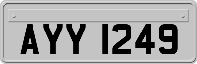 AYY1249