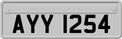 AYY1254