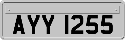 AYY1255