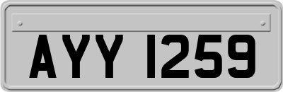 AYY1259