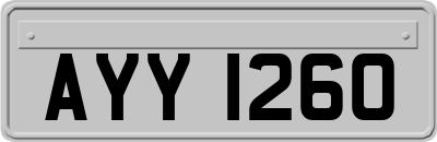 AYY1260