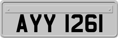 AYY1261
