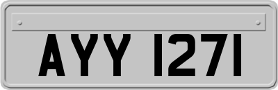 AYY1271