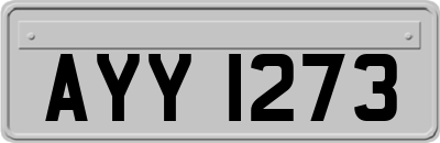 AYY1273