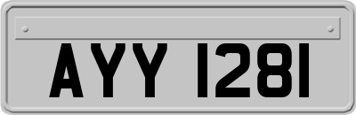 AYY1281