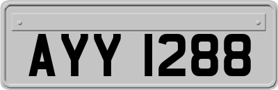 AYY1288