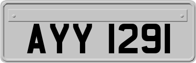 AYY1291