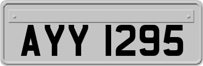 AYY1295