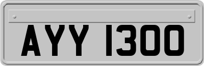 AYY1300