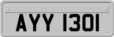AYY1301