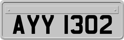 AYY1302