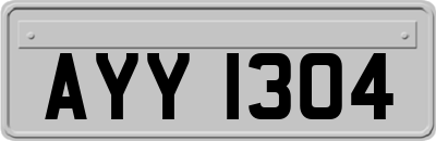 AYY1304