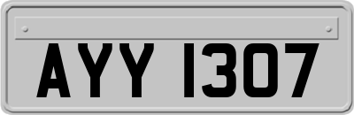 AYY1307