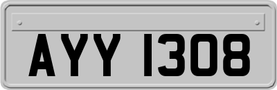 AYY1308